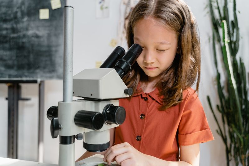 Acton Academy Ponte Vedra learning photo